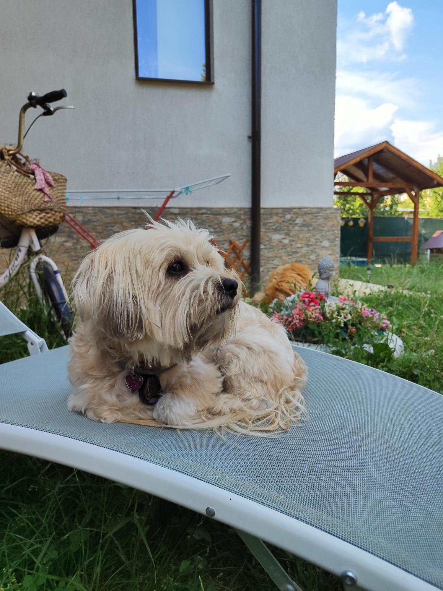 Happy Home Călimăneşti Zewnętrze zdjęcie